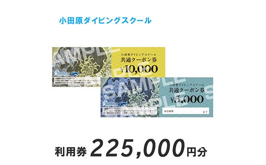 
小田原ダイビングスクール 共通クーポン券 225,000円分【225,000円分クーポン券 小田原でダイビング ダイビングスクール 1万円クーポン券22枚 5千円クーポン券1枚 ライセンス講習 神奈川県 小田原市 】
