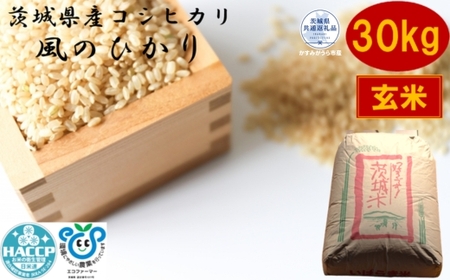 【令和7年度産】＼農家直送！低温保存玄米／茨城県産 コシヒカリ 風のひかり 30kg 茨城県共通返礼品 かすみがうら市産 米 お米 玄米 こめ 取り寄せ 特産 ごはん ご飯 コメ お取り寄せ ギフト 贈り物 お弁当 弁当 おにぎり ふっくら ツヤツヤ 甘い 農家直送 産地直送 国産 茨城県産