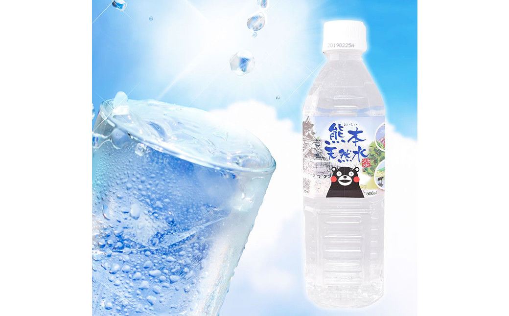 
【定期便6回】シリカ天然水 500ml×24本 計144本
