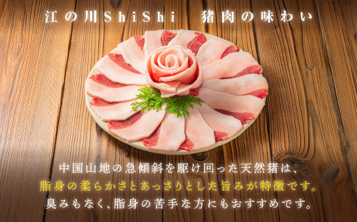 天然猪ローススライスすき焼き用500ｇ AI-8 猪肉 いのしし肉 イノシシ肉 ジビエ ロース ロース肉 スライス すき焼き用 すき焼き 鍋 500g 贈り物 贈答品