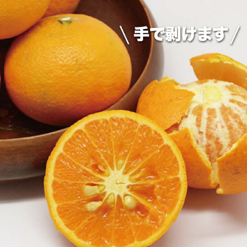 【ふるさと納税】 みかん 石本果樹園の美味しい カラ・マンダリン 約3kg 約20〜25玉前後【2027年4月中旬から5月中旬に順次発送予定】 / みかん フルーツ くだもの 果物 柑橘 先行予約 産地直送 送料無料 訳あり 家庭用 ワケあり 規格外