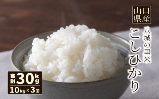 【先行予約】【定期便 3ヶ月】こしひかり 精米 10kg 計30kg