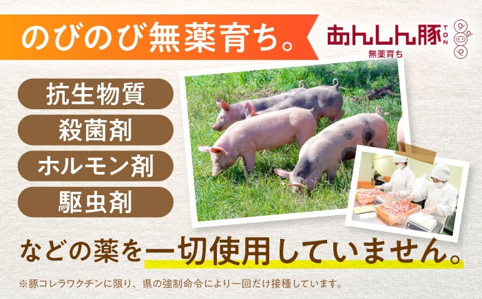 のびのび無薬育ちのあんしん豚。藤井ファームでは、抗生物質やホルモン剤、殺菌剤などの薬を使わず、草原で健康に飼育しております。豚肉