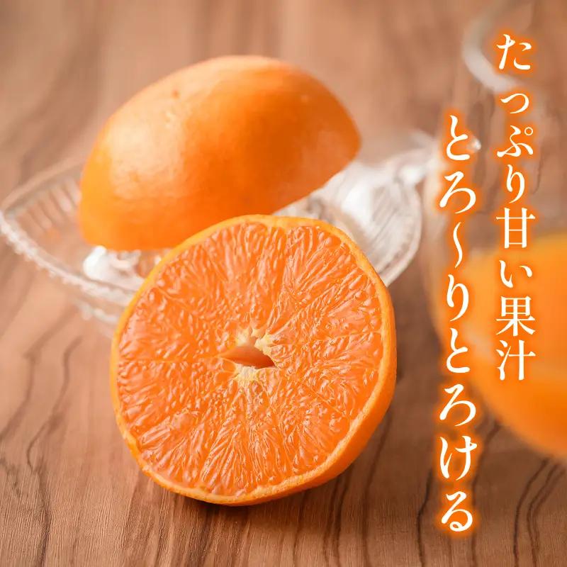 【先行予約】宗方印 せとか（家庭用）約1.5kg