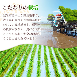 ＜先行予約！2025年10月から発送開始予定＞≪令和7年産≫【6回定期便】ひとめぼれ 計60kg (10kg×6回配送) 登米市産 お米 おこめ 米 コメ 白米 ご飯 ごはん おにぎり お弁当 6か月