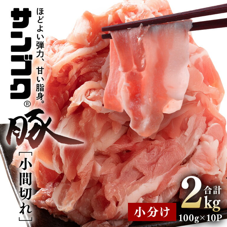 【ふるさと納税】サンゴク豚 小間切れセット2kg 小分け 200g×10パック 保存に便利 冷凍 真空パック 豚肉 豚切り落とし 豚切落し 豚こま切れ 豚小間切れ 豚細切れ 豚こまぎれ ぶた肉 ブタ肉 国産 茨城県産 2-P