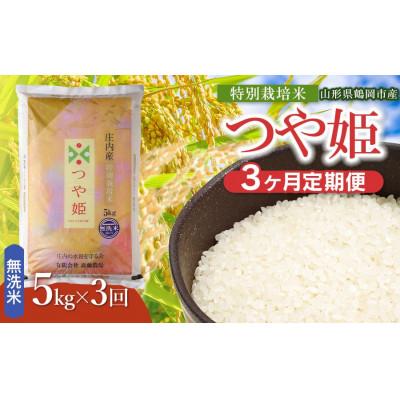 ふるさと納税 鶴岡市 【毎月定期便】斎藤農場の特別栽培米つや姫無洗米5kg [K-840]全3回