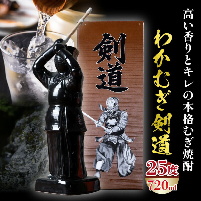 【ふるさと納税】【麦焼酎】くせがなくマイルドな味わい わかむぎ剣道 720ml 25度 剣道ボトル 陶器製 贈答 剣道日本一 高千穂 ボトル 焼酎 本格 本格焼酎 わかむぎ マイルド すっきり お酒 酒 宅飲み お祝い ギフト プレゼント 贈り物 贈答用 宮崎県 高千穂町 送料無料