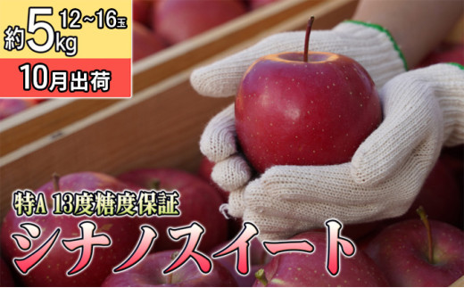 10月 特Aシナノスイート約5kg（12～16個）13度糖度保証【青森りんご・ゆうきアップル・10月】 果物類 フルーツ 果物 ジューシー