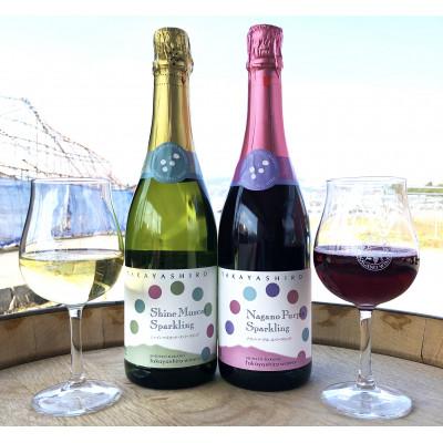 ふるさと納税 中野市 【たかやしろファーム】シャインマスカット&ナガノパープルスパークリングセット 720ml×2本 |  | 01