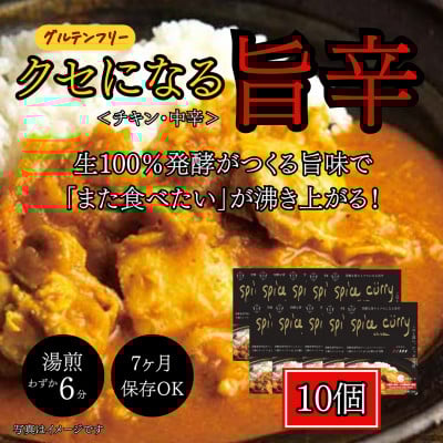 
発酵スパイスカレー10個★5種のスパイスと白山麓のW発酵 芳醇な香り&クセになる旨辛 グルテンフリー【1376659】
