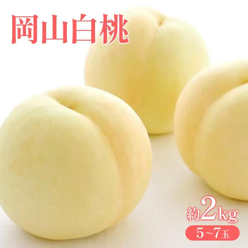 白桃 岡山県産 白桃【約2kg5～7玉】【先行受付】