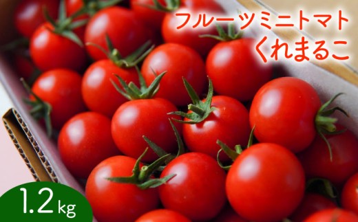 フルーツミニトマト 『 くれまるこ 』 1.2kg 【トマト とまと 野菜 やさい 新鮮 産地直送 贈答 おすすめ フルーツ ミニトマト トマト 野菜 とまと 甘いトマト フルーツトマト tomato 高知 中土佐 久礼 】