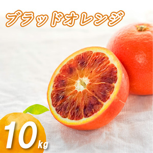 【2026年1月下旬より発送】 ブラッドオレンジ 10kg | 数量選択可 みかん ミカン 蜜柑 柑橘 数量限定 愛媛県産 松山市 中島 低農薬 愛媛 ふるさと納税【NO0292】