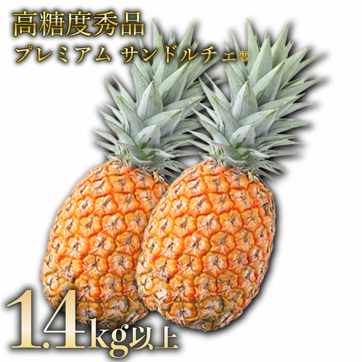 【ふるさと納税】GOKUJUKU-極熟プレミアムサンドルチェ(R) 1.4kg以上 1玉　2026年　先行予約 パイナップル 沖縄 高糖度秀品 贈答用 贈り物 パイン 果物 フルーツ デザート 希少 西表島