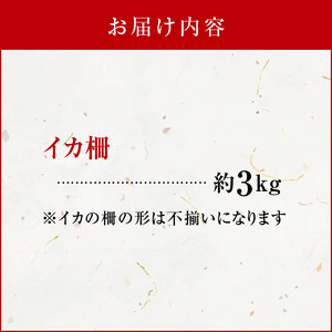 沖永良部島 イカ の 王様 ！ ソデイカ 3kg C010-017 魚介 海鮮 寿司 真空パック 鍋 沖永良部島漁業協同組合 ふるさと納税 知名町 おすすめ ランキング プレゼント ギフト