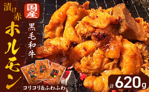 【数量限定】漬け赤ホルモン620g コリコリミックス（210g×2P）ふわふわ牛腸（200g×1P） 焼肉 BBQ 人気 ホルモン ホルモン焼き ホルモン肉 味付きホルモン 味付き肉 ほるもん 焼肉用ホルモン 冷凍ホルモン