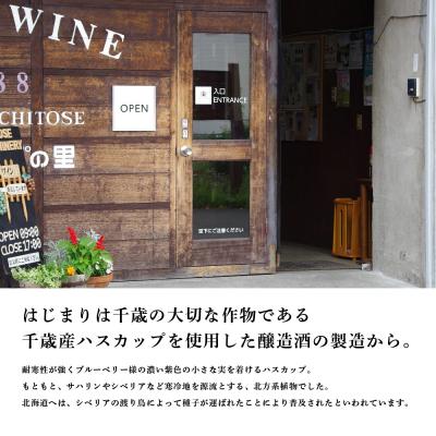 ふるさと納税 千歳市 千歳ワイナリー ハスカップスイート720ml×6本 |  | 02