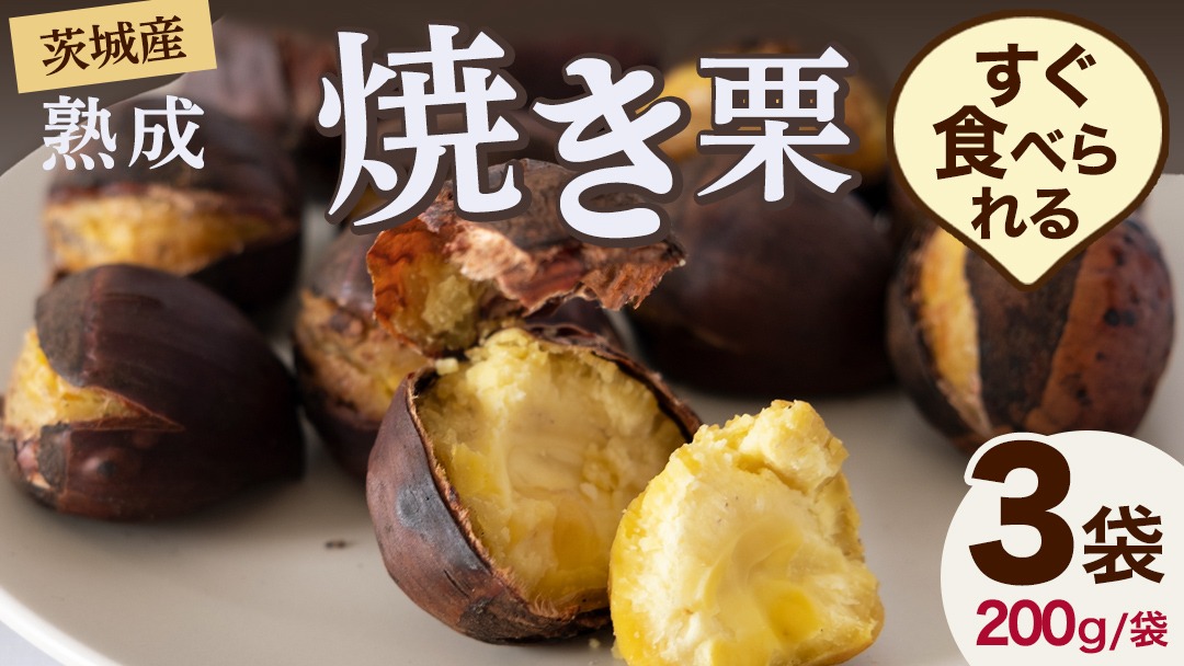 【 吉原農場 の 完熟栗 】 熟成 焼き栗 3袋  ( 200g × 3袋 ) R7年産 完熟 栗 くり クリ 栗ごはん 贈答 ギフト 果物 フルーツ 数量限定 旬 秋 冬 正月 おせち [CX020ci]