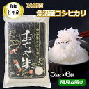 【ふるさと納税】令和6年産 魚沼産 コシヒカリ 定期便 5kg×6回（隔月お届け）（JA魚沼） 白米 精米 魚沼 定期 米 コメ お米 おコメ おこめ ブランド米 こしひかり お取り寄せ 産地直送 おいしい おにぎり ごはん 白飯 人気 おすすめ うれしい 贈り物 新潟 小千谷 JA81P428