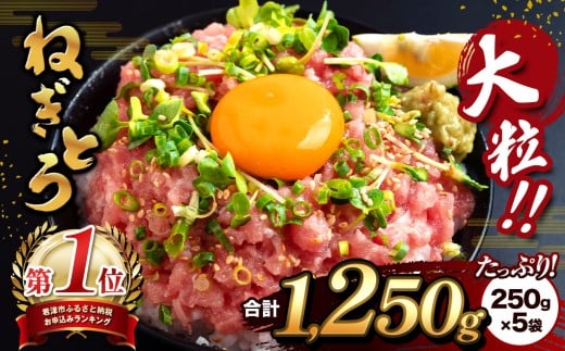 清幸丸水産 大人気！ねぎとろ1250g（250g×5袋）
