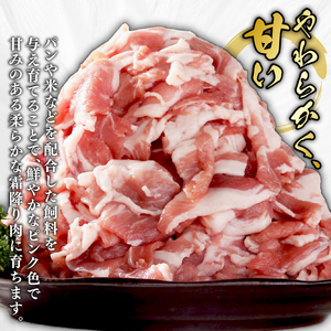 京丹波高原豚 豚肉 こま切れ 4kg (500g×8袋)
