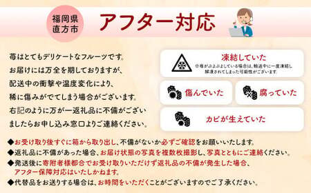 【2026年 1月発送】【アフター対応】特別栽培あまおう 約300g×4パック イチゴ 苺 いちご ※北海道・沖縄・離島配送不可
