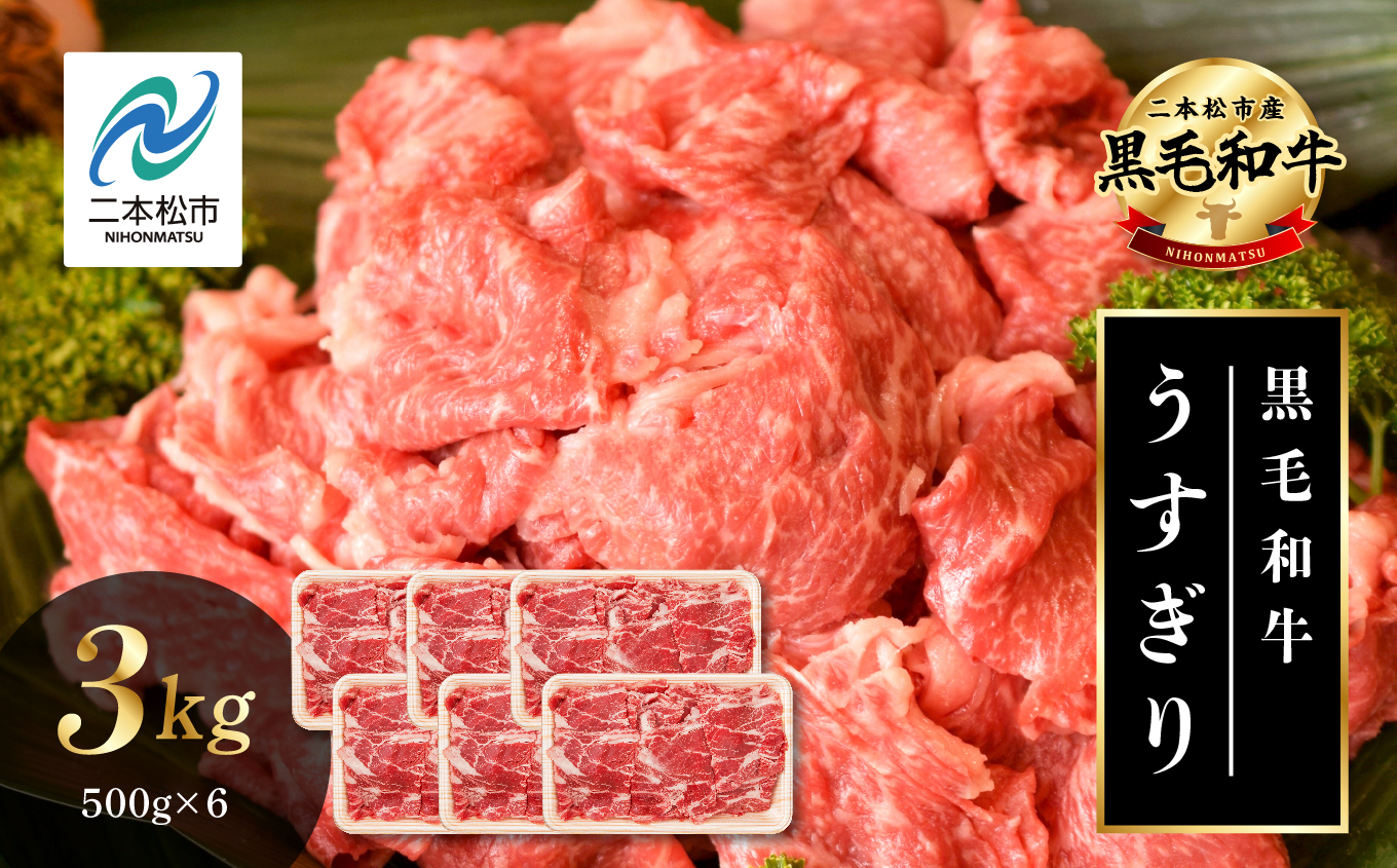 ＼年内発送可能！／黒毛和牛 うすぎり 3kg （ 500g × 6パック ） 福島県二本松市産 薄切り 黒毛 和牛 肉 牛 牛肉 牛丼 国産牛 赤身 脂身 旨味 薄切り肉 切り落とし 小分け エム牧場 人気 おすすめ ふるさと 納税 福島 ふくしま【株式会社コーシン】