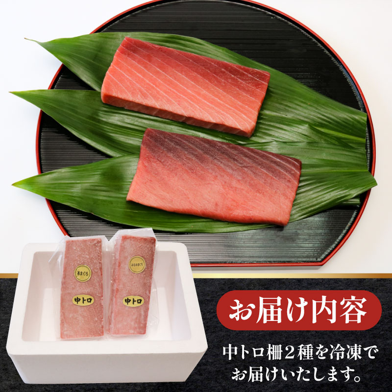本マグロ　南マグロ　中トロ各１柵　（計４００ｇ）　食べ比べ まぐろ 鮪 ２種 高級 贅沢 人気 柵 インドマグロ 鮮魚 魚 寿司 刺し身 刺身