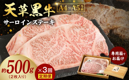 
                  S074-013-T03_【定期便3回】天草黒牛 サーロイン ステーキ 2枚入 約500g 黒毛和牛 A4～5等級
                