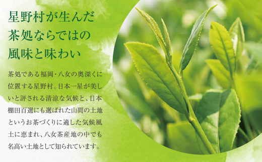 八女星野「星乃絆」(煎茶・深蒸し茶・かぶせ茶 各80g)