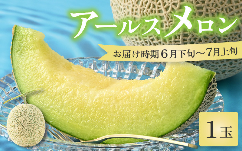 
                  【先行予約】【青肉】アールスメロン 1玉（約1.6kg以上）青肉品種 高級メロン！ ／ マスクメロン 大玉 果物 フルーツ 夏 ギフト 農家直送 ※2027年6月下旬以降順次発送予定 [aw065-a001]
                