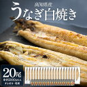 【ふるさと納税】【数量限定】うなぎ 白焼き 100g〜120g×20尾（合計2kg以上）蒲焼きタレ付き - 国産 鰻 ウナギ 有頭 背開き つまみ ご飯のお供 老舗 土佐湾 吉川水産 高知県 香南市【冷凍】yw-0083