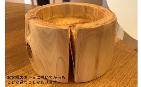 ペットフードボウル 国産桧の間伐材 小石原焼 お届け：在庫が無い場合は、12ヶ月お待ちいただく場合もあります 白色