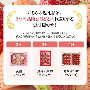 【3回定期便】玄海町産いちご ミックス定期便 ／ さがほのか 淡雪 真紅の美鈴 フルーツ【Z049】