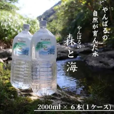 国頭村のおいしい水 やんばるの森と海 2000ml×6本【1732491】