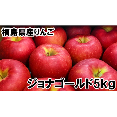 
福島県のりんご　ジョナゴールド5kg(16～22玉)　ギフト・贈答用【1293238】
