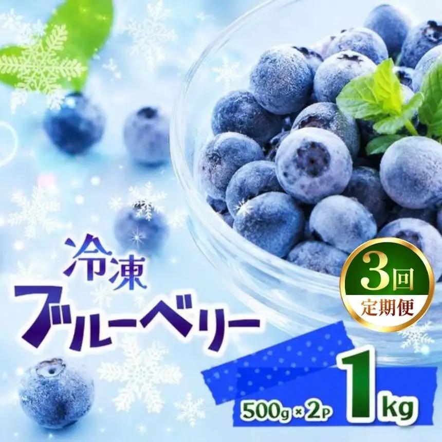 【定期3回】完熟 冷凍ブルーベリー 約 1kg