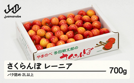 《先行予約》2026年 山形県産 レーニア バラ詰め 700g やまのべ多田耕太郎のさくらんぼ サクランボ tn-rnx2b700