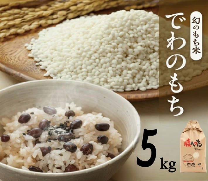 
                  令和7年産【もち米】でわのもち　5kg(5kg×1袋) YA SB1029
                