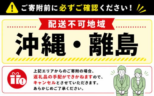 伊勢海老 1.5kg 3～7尾 75000円 冷蔵 生 国産 天然 産地直送 国産 鹿島灘 鹿島灘産 厳選 伊勢エビ エビ 海老 イセエビ 海鮮 シーフード 海 贅の極み 刺身 さしみ 味噌汁 鍋 塩ゆで ぷりぷり 海の恵み グリル グラタン 濃厚 甘み 特別 荒波育ち ボイル 焼き物 バーベキュー 贈答 プレゼント 贈り物 お中元 ギフト 仲野水産 茨城県 鹿嶋市 茨城 鹿嶋
