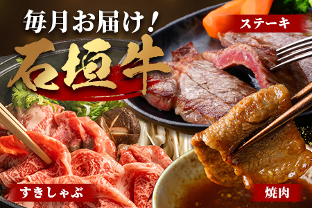 【全2回 定期便E】 石垣牛 ステーキ＆焼肉特盛セット・すきしゃぶ800g＆焼肉特盛セット　計3.2kg（いしなぎ屋）AB-33