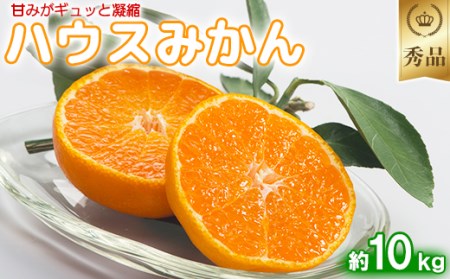 【期間限定発送】今村農園のハウスみかん 約10kg【秀品】 2025年 7月 夏 発送 果物 期間限定 九州 ＜107-009_7＞