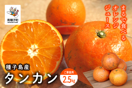 《 先行予約 》【2026年2月中旬〜3月中旬頃順次発送】種子島産タンカン(ご家庭用)約2.5kg（12～18玉）【南種子町果樹部会】