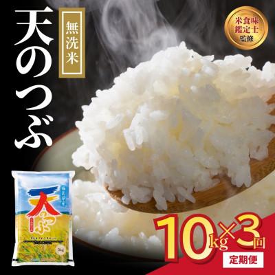 ふるさと納税 田村市 【毎月定期便】無洗米 田村産 天のつぶ 10kg 米 精米全3回