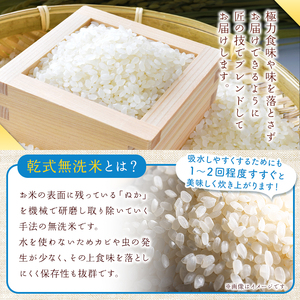 無洗米 食べ比べ 15kg ひのひかり 森のくまさん くまさんの輝き 3種食べ比べ セット | 小分け 5kg × 3袋  熊本県産 令和5年産 特A獲得品種 米 無洗米 ごはん 銘柄米 ブランド米 