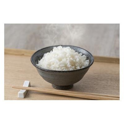 ふるさと納税 佐渡市 【毎月定期便】佐渡産コシヒカリ5kg全2回 |  | 01