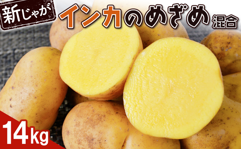 【新じゃが】インカのめざめ（混合）　14kg【83000102】