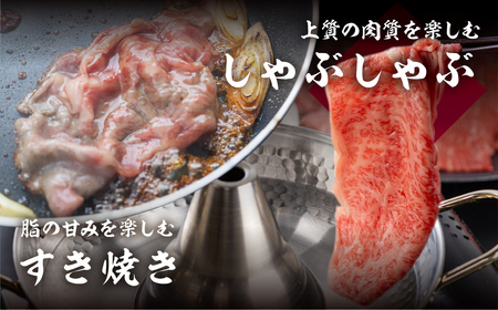 飛騨牛 霜降り すきやき肉 570g すきやき 飛騨市[GU004]