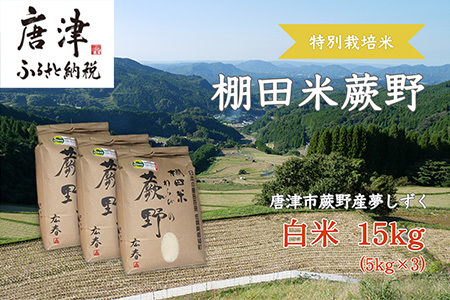 『先行予約』【令和7年産新米】特別栽培棚田米「蕨野」5kg×3袋(合計15kg) 家庭排水が一切入らない自然水で作られたお米 10日に1回精米で新米のような味わい
